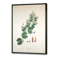 אמנות עיצוב 'צמחים עתיקים שלוש עשרה' בית חווה ממוסגר בד קיר אמנות הדפסה