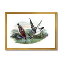 עיצוב ארט 'כפרי וינטג' שתי ציפורים באגם 'הדפס אמנות ממוסגר בחווה