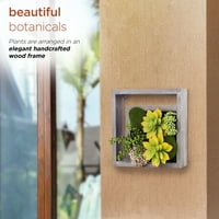 תאגיד אלפיני 10 עיצוב אמנות קיר צמח מרובע עם מסגרת עץ, חום ירוק