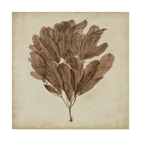 סימן מסחרי אמנות 'אצות וינטג' השלישי ' אמנות בד מאת גיאורג סי אודר
