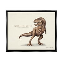 Stupell חינוכי T-Re דינוזאור בעלי חיים וחרקים ציור צף שחור אמנות ממוסגרת אמנות קיר אמנות קיר